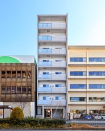 SJSakurayama