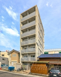 CREA花の木