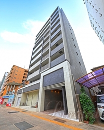 The FirstOne金山