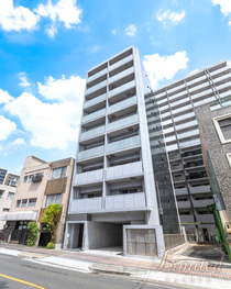 NR金山