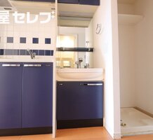 シャンプードレッサー